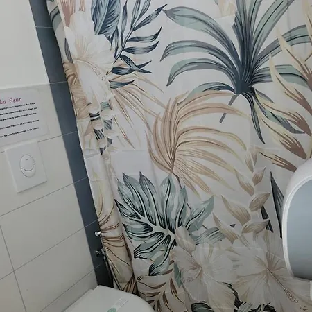 Гостьовий будинок La Fleur *